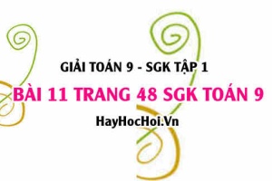 Giải bài 11 trang 48 SGK Toán 9 tập 1